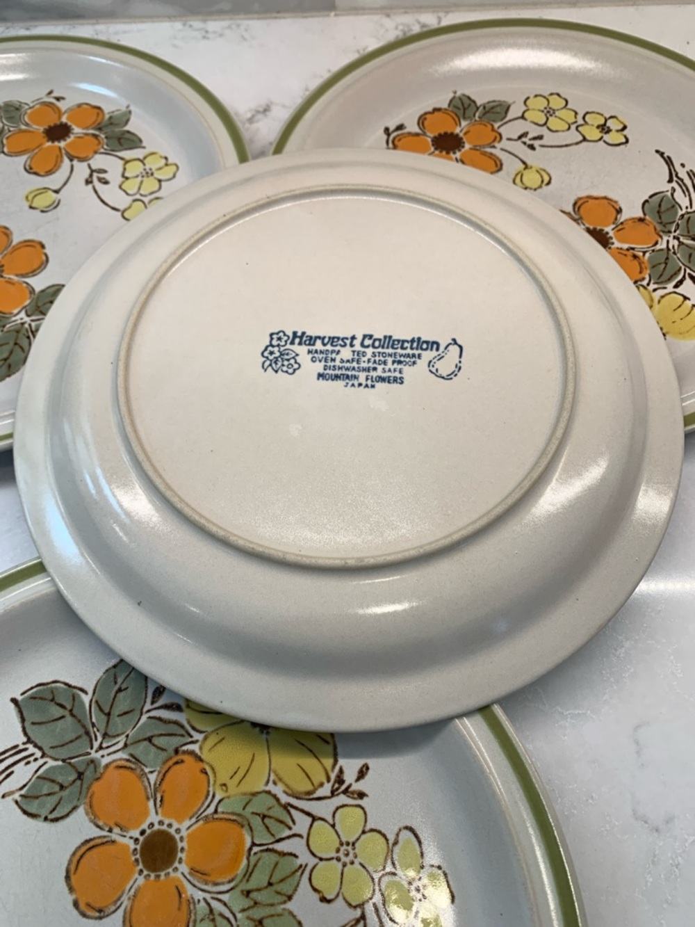 MCM Vintage Harvest Collection Floral Ceramic Dinner Plates Set - Picture 5 of 7